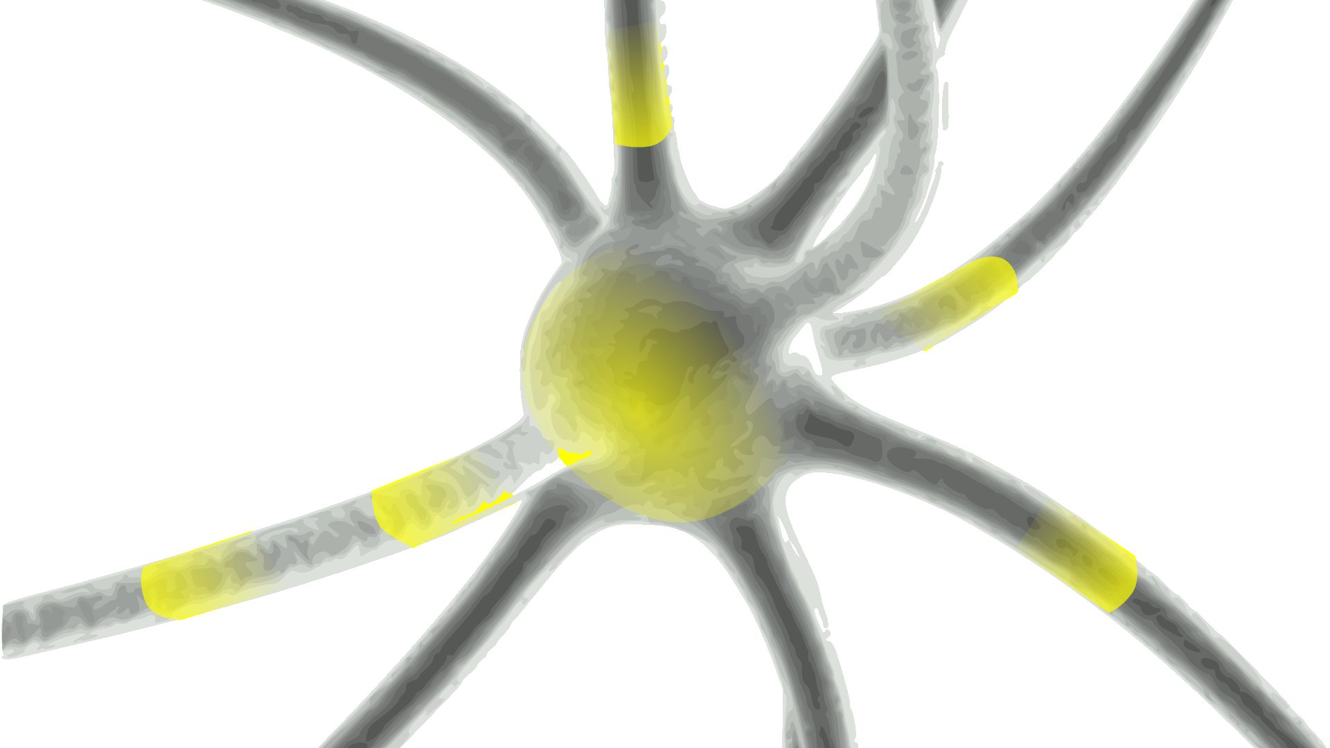 neurone